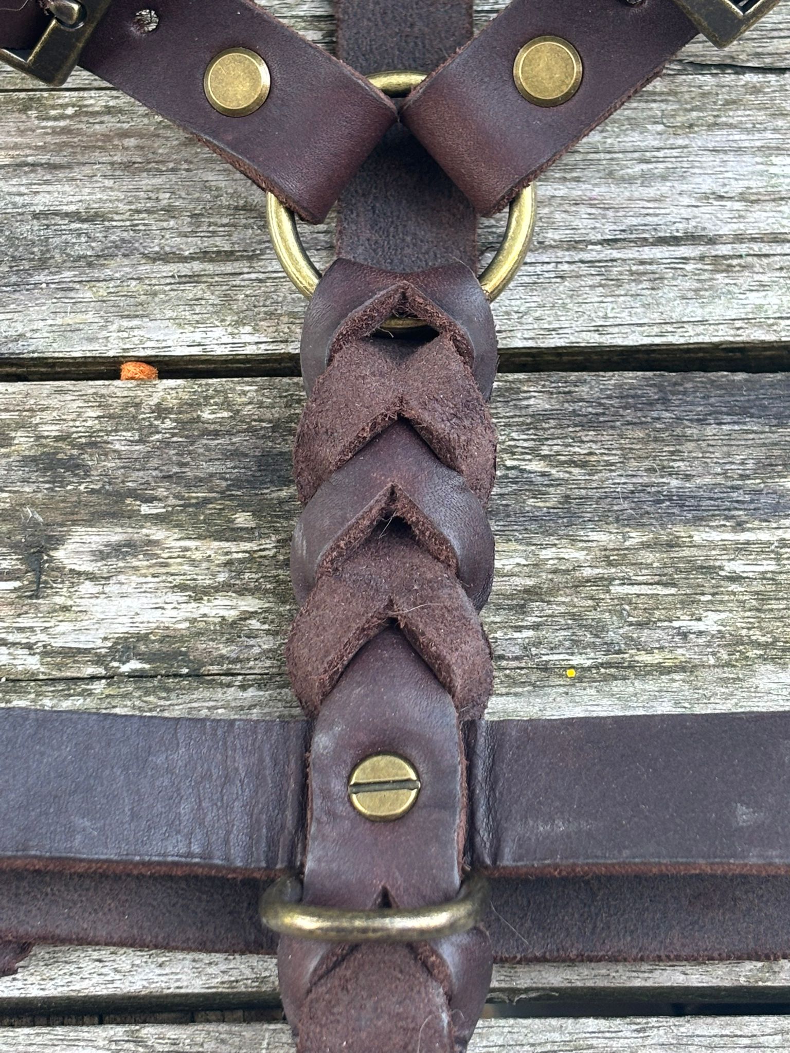 Lilypatch Espresso thumbnail